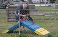 Pet Playground